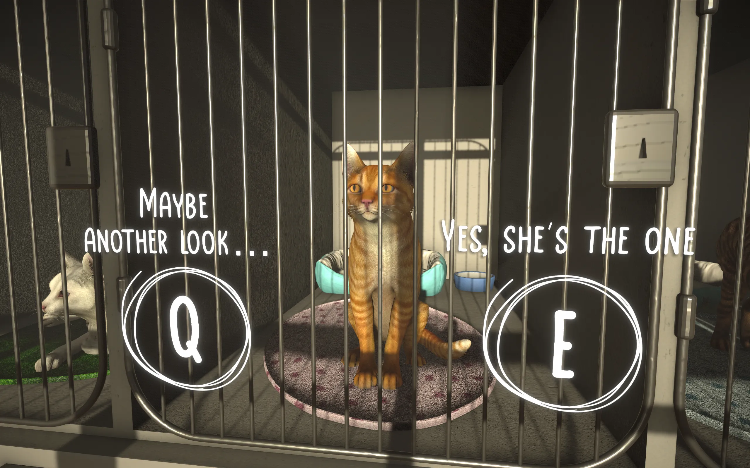 A cat sits in a kennel while text says "She&#x27;s the one."
