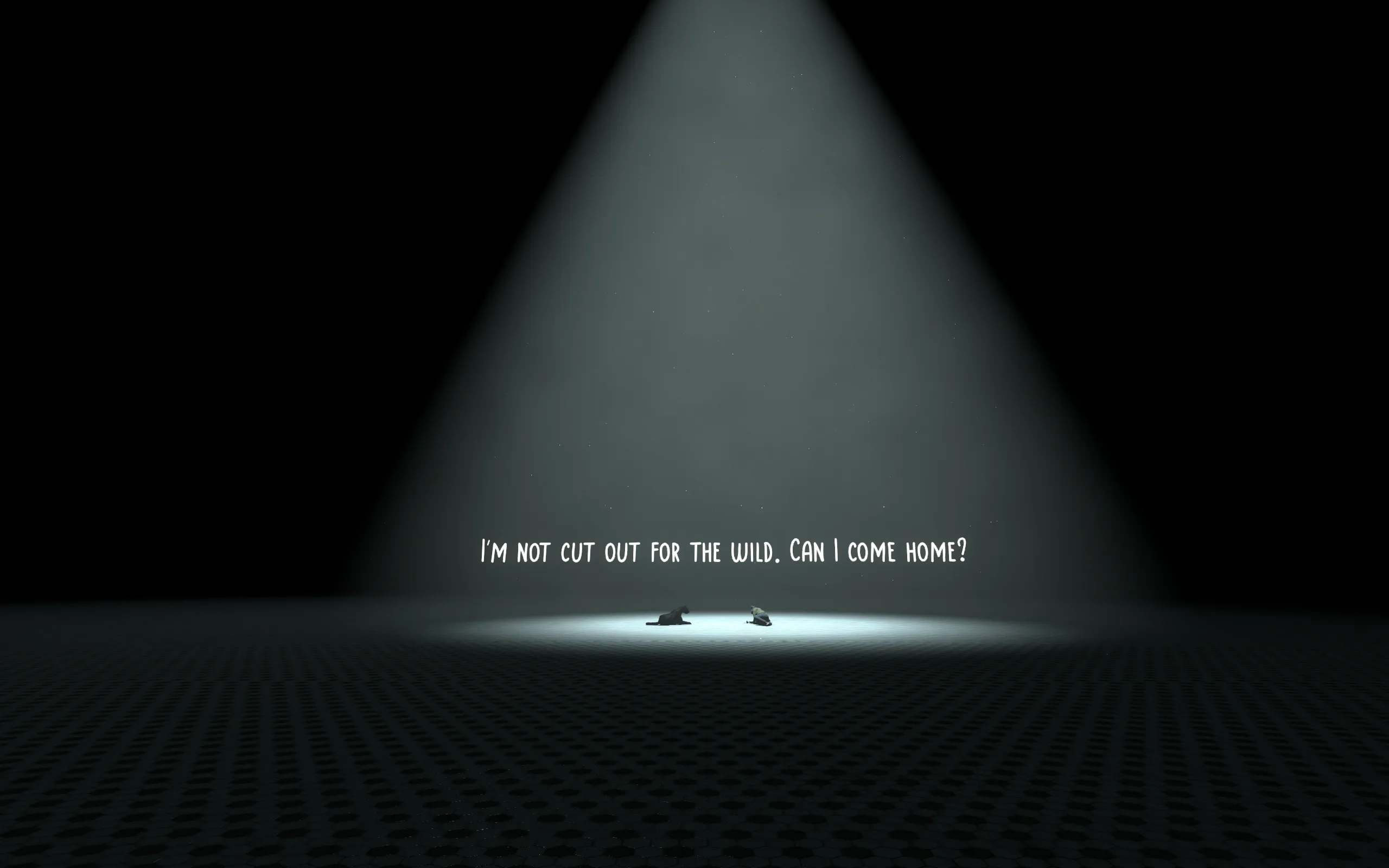 A spotlight shines on the words "I&#x27;m not cut out for the wild. Can I come home?"