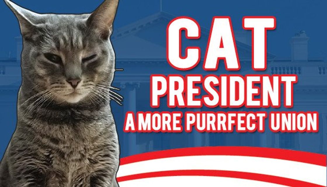 Title image for Cat President