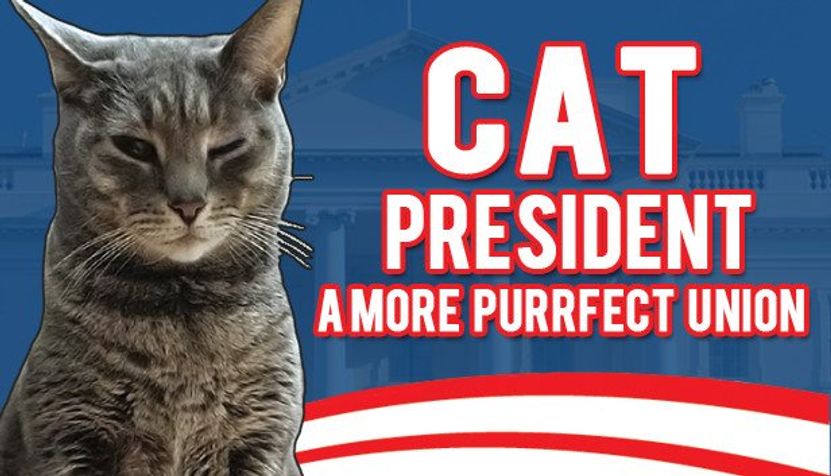 Title image for Cat President