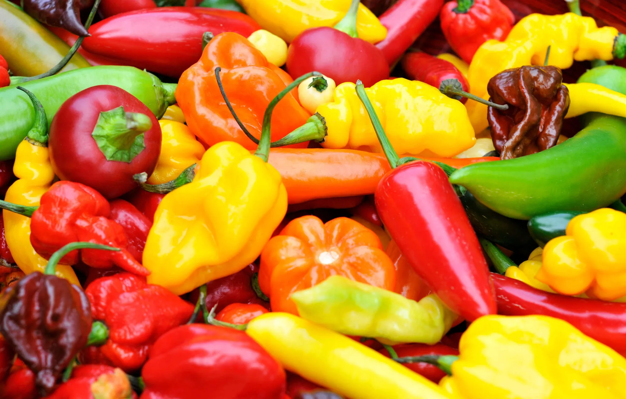 A collection of hot peppers